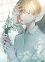 Capa (7)
